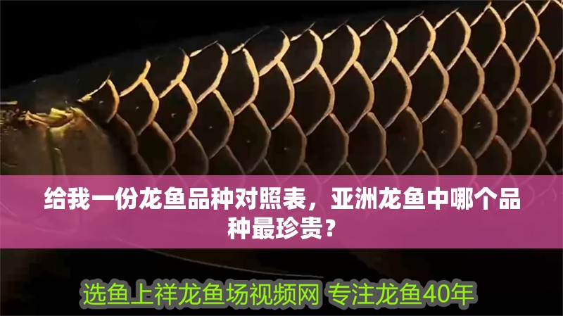 魚缸過濾器選購指南:自制魚缸過濾器魚缸上置過濾器對(duì)于養(yǎng)魚愛好者的必備知識(shí) 給我一份龍魚品種對(duì)照表,亞洲龍魚中哪個(gè)品種最珍貴? 龍魚百科 給我一份龍魚品種對(duì)照表,亞洲龍魚中哪個(gè)品種最珍貴? 給我一份龍魚品種對(duì)照表,亞洲龍魚中哪個(gè)品種最珍貴? 龍魚百科