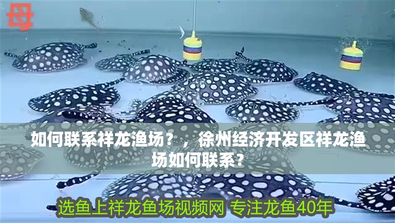 如何聯系祥龍漁場？，徐州經濟開發區祥龍漁場如何聯系？