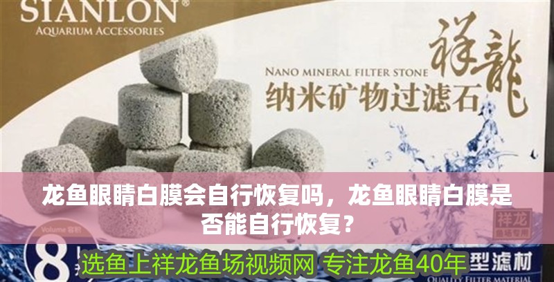 龍魚眼睛白膜會自行恢復嗎，龍魚眼睛白膜是否能自行恢復？