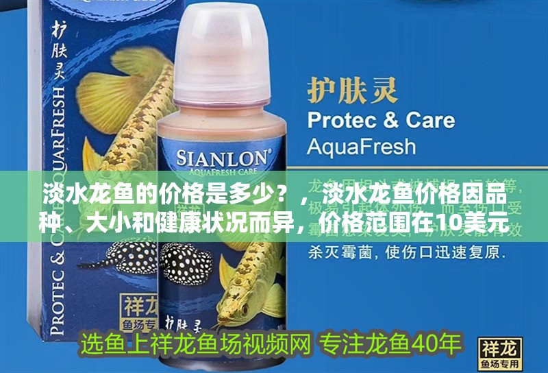 淡水龍魚的價格是多少？，淡水龍魚價格因品種、大小和健康狀況而異，價格范圍在10美元之間