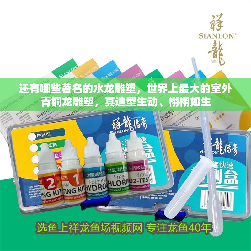 還有哪些著名的水龍雕塑，世界上最大的室外青銅龍雕塑，其造型生動、栩栩如生