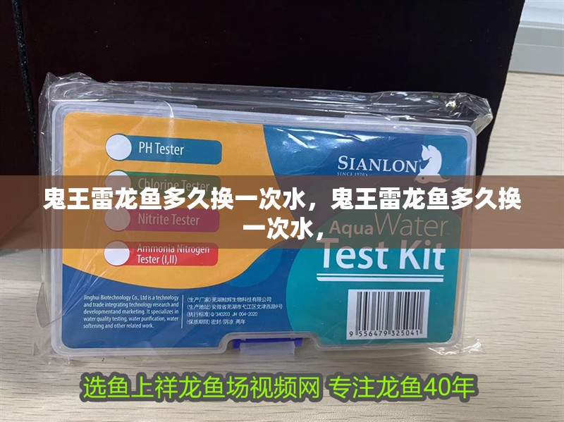 鬼王雷龍魚多久換一次水，鬼王雷龍魚多久換一次水，