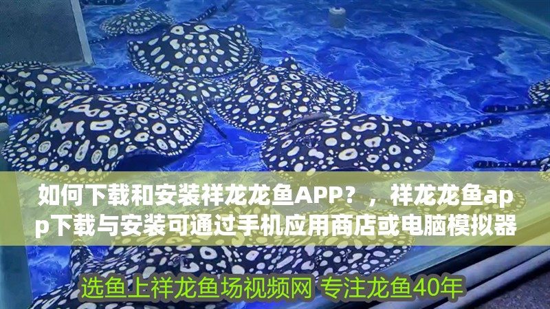 如何下載和安裝祥龍龍魚APP？，祥龍龍魚app下載與安裝可通過手機應用商店或電腦模擬器實現