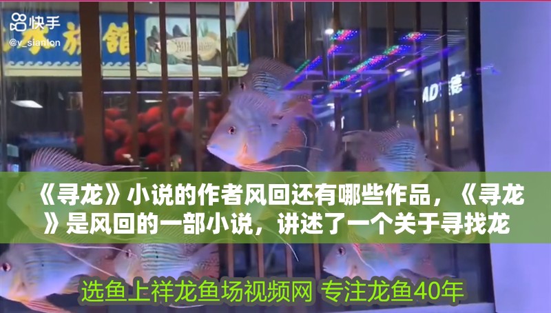 《尋龍》小說的作者風回還有哪些作品，《尋龍》是風回的一部小說，講述了一個關于尋找龍的故事 《尋龍》小說的作者風回還有哪些作品，《尋龍》是風回的一部小說，講述了一個關于尋找龍的故事 龍魚百科