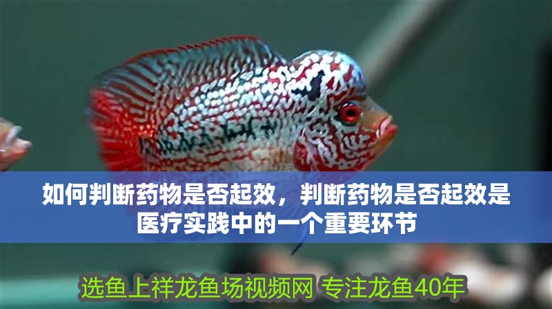 如何判斷藥物是否起效，判斷藥物是否起效是醫療實踐中的一個重要環節 如何判斷藥物是否起效，判斷藥物是否起效是醫療實踐中的一個重要環節 龍魚百科