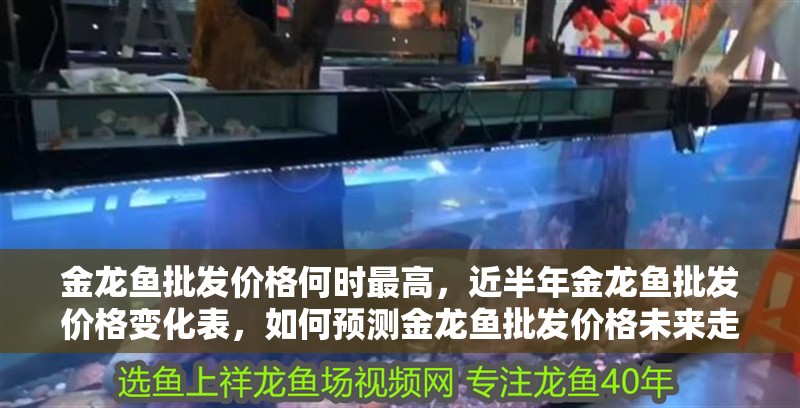 金龍魚批發價格何時最高，近半年金龍魚批發價格變化表，如何預測金龍魚批發價格未來走勢