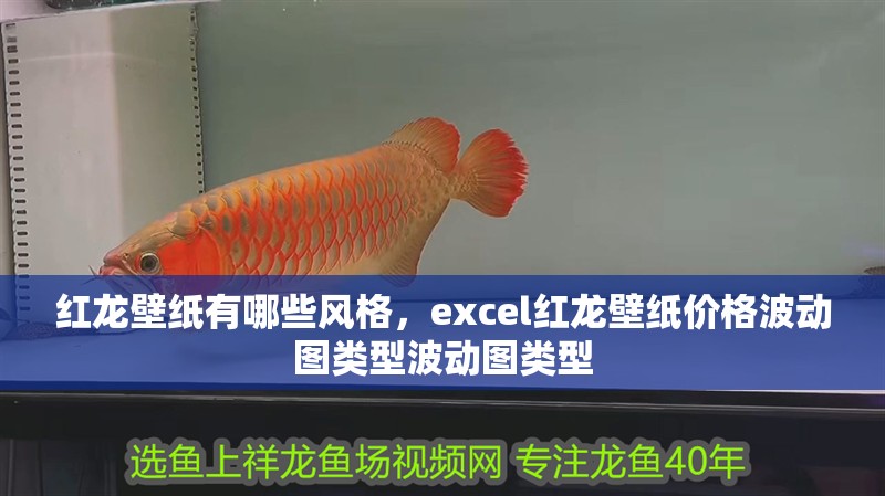 給大魚缸換水的作文:體驗給大魚缸換水的樂趣:體驗給大魚缸換水:給大魚缸換水的作文 紅龍壁紙有哪些風(fēng)格,excel紅龍壁紙價格波動圖類型波動圖類型 龍魚百科 紅龍壁紙有哪些風(fēng)格,excel紅龍壁紙價格波動圖類型波動圖類型 紅龍壁紙有哪些風(fēng)格,excel紅龍壁紙價格波動圖類型波動圖類型 龍魚百科