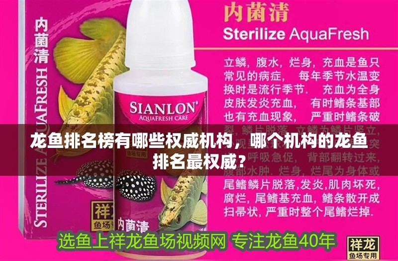 龍魚排名榜有哪些權威機構，哪個機構的龍魚排名最權威？ 龍魚排名榜有哪些權威機構，哪個機構的龍魚排名最權威？ 龍魚百科
