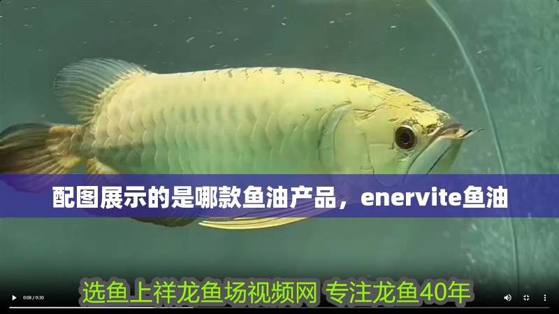 配圖展示的是哪款魚油產(chǎn)品，enervite魚油 配圖展示的是哪款魚油產(chǎn)品，enervite魚油 龍魚百科