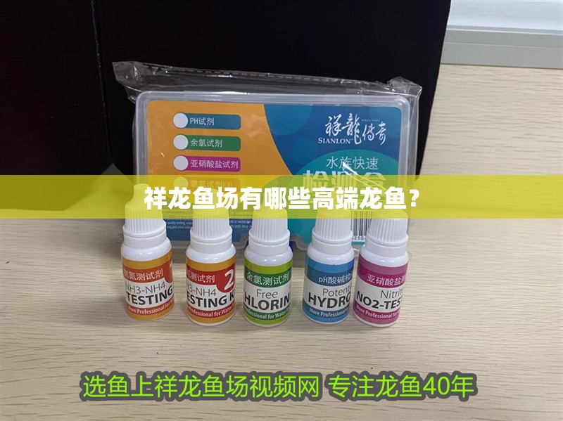 魚缸造景先放沙還是先放水(魚缸造景先鋪沙還是先放石頭) 祥龍魚場有哪些高端龍魚? 龍魚百科 祥龍魚場有哪些高端龍魚? 祥龍魚場有哪些高端龍魚? 龍魚百科