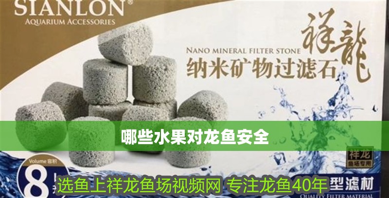 哪些水果對龍魚安全