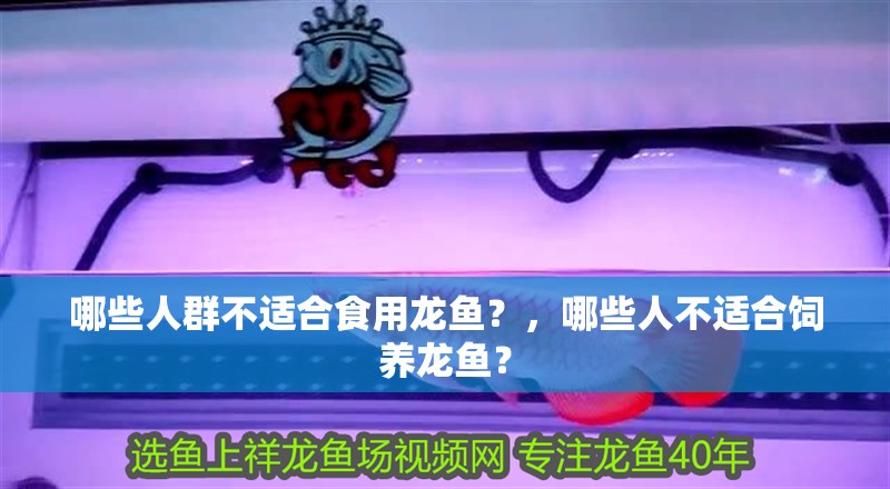哪些人群不適合食用龍魚？，哪些人不適合飼養龍魚？