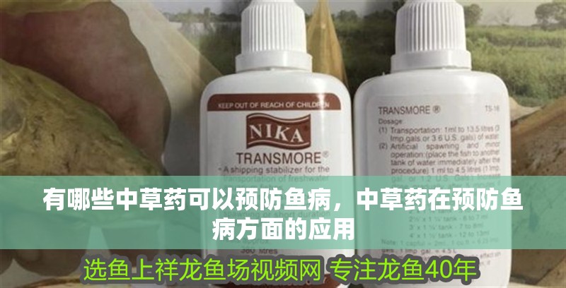 有哪些中草藥可以預(yù)防魚(yú)病，中草藥在預(yù)防魚(yú)病方面的應(yīng)用 有哪些中草藥可以預(yù)防魚(yú)病，中草藥在預(yù)防魚(yú)病方面的應(yīng)用 龍魚(yú)百科