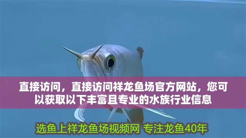 直接訪問，直接訪問祥龍魚場官方網站，您可以獲取以下豐富且專業的水族行業信息 直接訪問，直接訪問祥龍魚場官方網站，您可以獲取以下豐富且專業的水族行業信息 龍魚百科