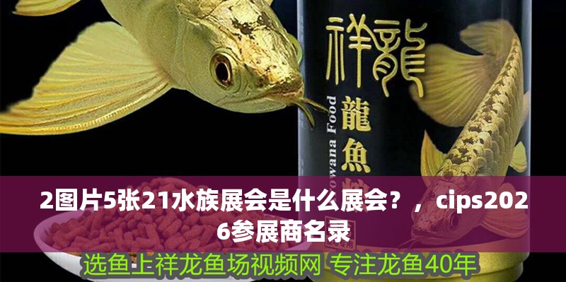 2圖片5張21水族展會是什么展會？，cips2026參展商名錄 2圖片5張21水族展會是什么展會？，cips2026參展商名錄 龍魚百科