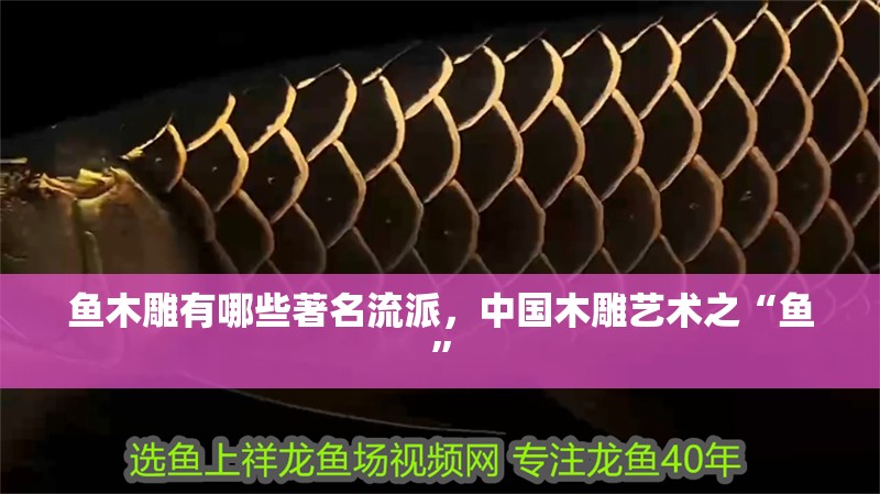 魚木雕有哪些著名流派，中國木雕藝術之“魚” 魚木雕有哪些著名流派，中國木雕藝術之“魚” 龍魚百科