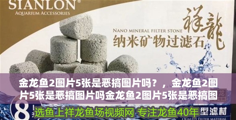金龍魚2圖片5張是惡搞圖片嗎？，金龍魚2圖片5張是惡搞圖片嗎金龍魚2圖片5張是惡搞圖片嗎