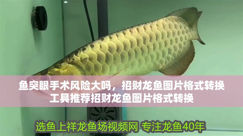 魚突眼手術風險大嗎，招財龍魚圖片格式轉換工具推薦招財龍魚圖片格式轉換 魚突眼手術風險大嗎，招財龍魚圖片格式轉換工具推薦招財龍魚圖片格式轉換 龍魚百科