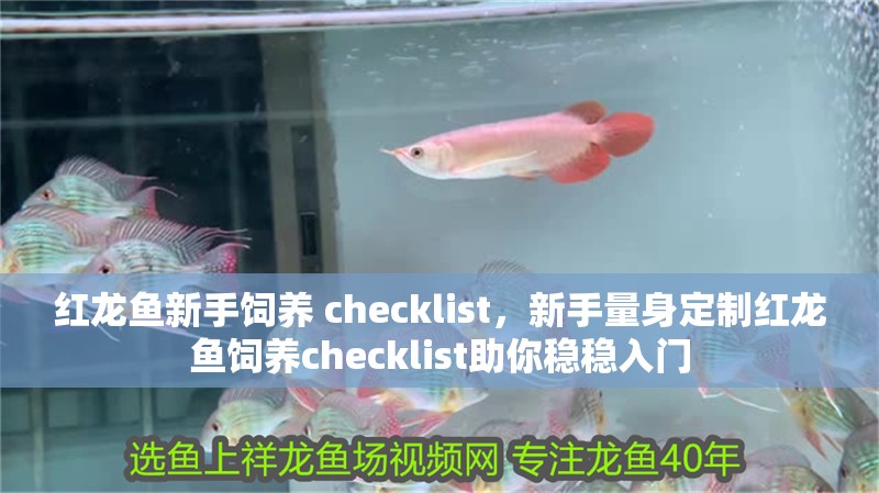 紅龍魚新手飼養(yǎng) checklist，新手量身定制紅龍魚飼養(yǎng)checklist助你穩(wěn)穩(wěn)入門