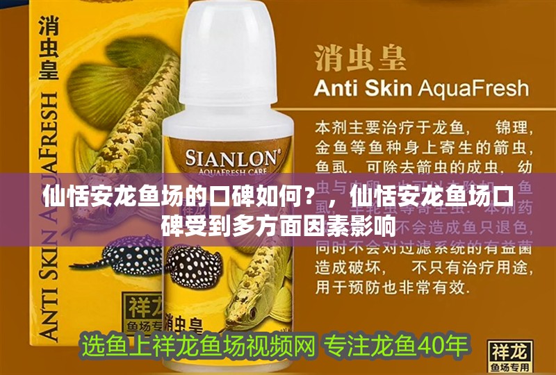 仙恬安龍魚場的口碑如何？，仙恬安龍魚場口碑受到多方面因素影響 仙恬安龍魚場的口碑如何？，仙恬安龍魚場口碑受到多方面因素影響 龍魚百科