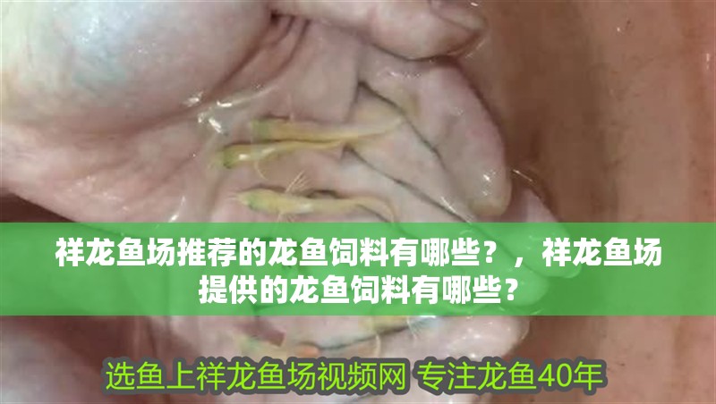 祥龍魚場推薦的龍魚飼料有哪些？，祥龍魚場提供的龍魚飼料有哪些？ 祥龍魚場推薦的龍魚飼料有哪些？，祥龍魚場提供的龍魚飼料有哪些？ 龍魚百科