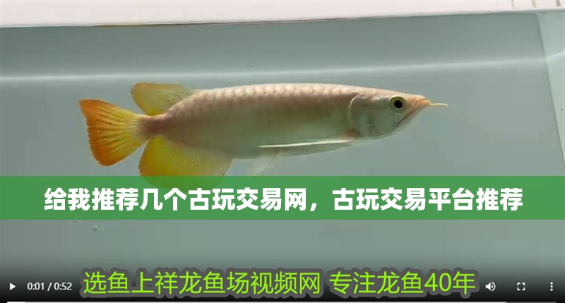 魚缸過濾器選購指南:自制魚缸過濾器魚缸上置過濾器對于養(yǎng)魚愛好者的必備知識 給我推薦幾個古玩交易網(wǎng),古玩交易平臺推薦 龍魚百科 給我推薦幾個古玩交易網(wǎng),古玩交易平臺推薦 給我推薦幾個古玩交易網(wǎng),古玩交易平臺推薦 龍魚百科