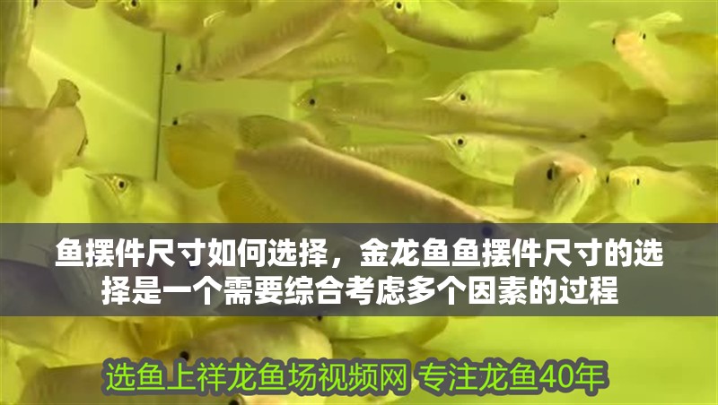魚擺件尺寸如何選擇，金龍魚魚擺件尺寸的選擇是一個需要綜合考慮多個因素的過程
