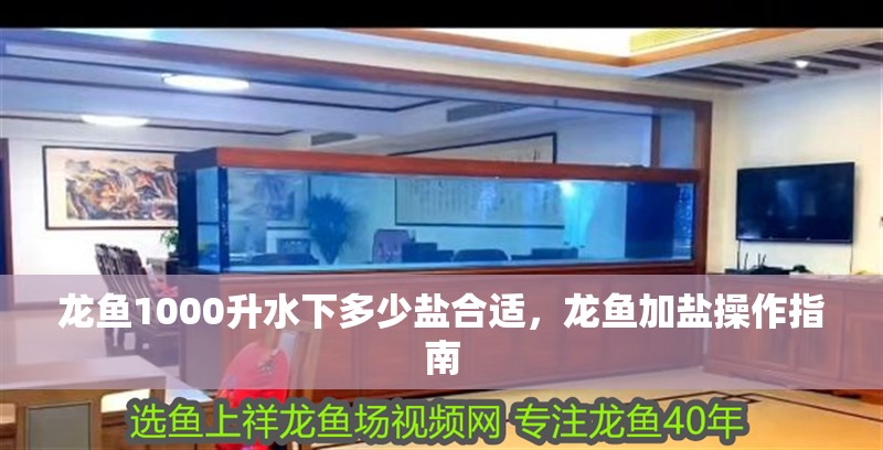 龍魚1000升水下多少鹽合適，龍魚加鹽操作指南 龍魚1000升水下多少鹽合適，龍魚加鹽操作指南 龍魚百科