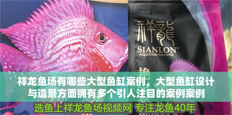 祥龍魚場有哪些大型魚缸案例，大型魚缸設(shè)計與造景方面擁有多個引人注目的案例案例