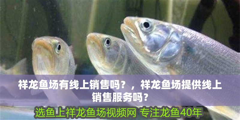祥龍魚場有線上銷售嗎？，祥龍魚場提供線上銷售服務嗎？ 祥龍魚場有線上銷售嗎？，祥龍魚場提供線上銷售服務嗎？ 龍魚百科