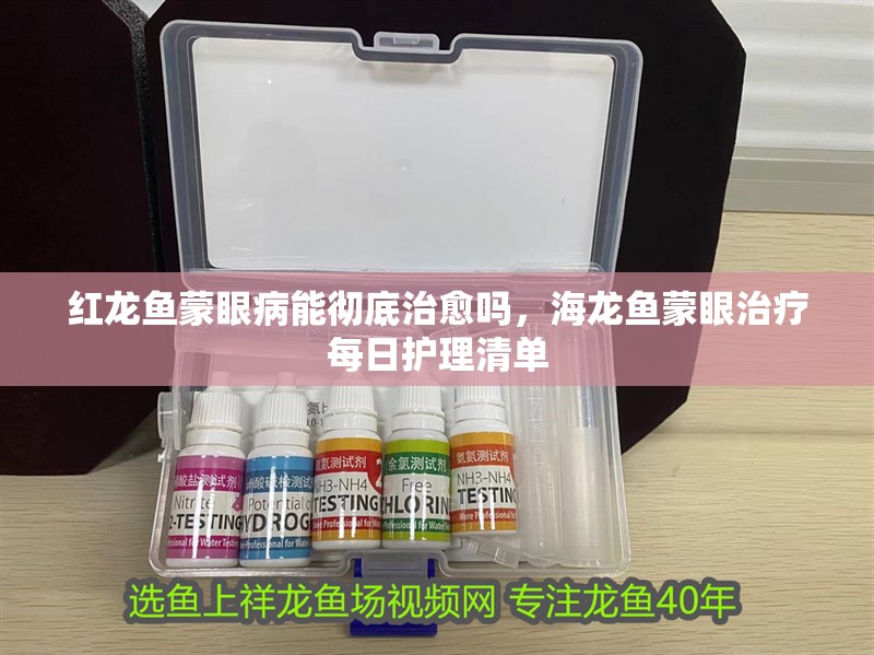 紅龍魚蒙眼病能徹底治愈嗎，海龍魚蒙眼治療每日護(hù)理清單 紅龍魚蒙眼病能徹底治愈嗎，海龍魚蒙眼治療每日護(hù)理清單 龍魚百科