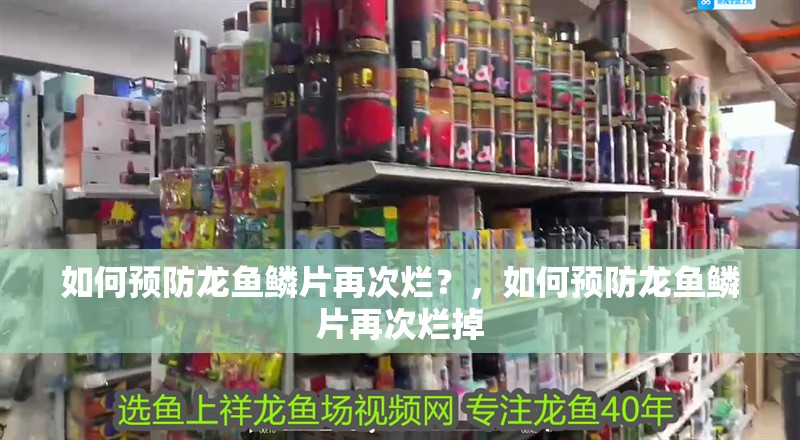 如何預(yù)防龍魚鱗片再次爛？，如何預(yù)防龍魚鱗片再次爛掉 如何預(yù)防龍魚鱗片再次爛？，如何預(yù)防龍魚鱗片再次爛掉 斯巴沃紅龍魚