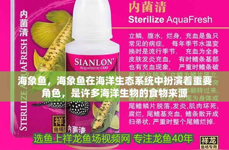 海象魚，海象魚在海洋生態(tài)系統(tǒng)中扮演著重要角色，是許多海洋生物的食物來源