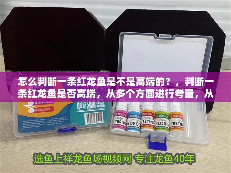 怎么判斷一條紅龍魚是不是高端的？，判斷一條紅龍魚是否高端，從多個方面進行考量，從多方面進行考量 怎么判斷一條紅龍魚是不是高端的？，判斷一條紅龍魚是否高端，從多個方面進行考量，從多方面進行考量 廣州正大漁場