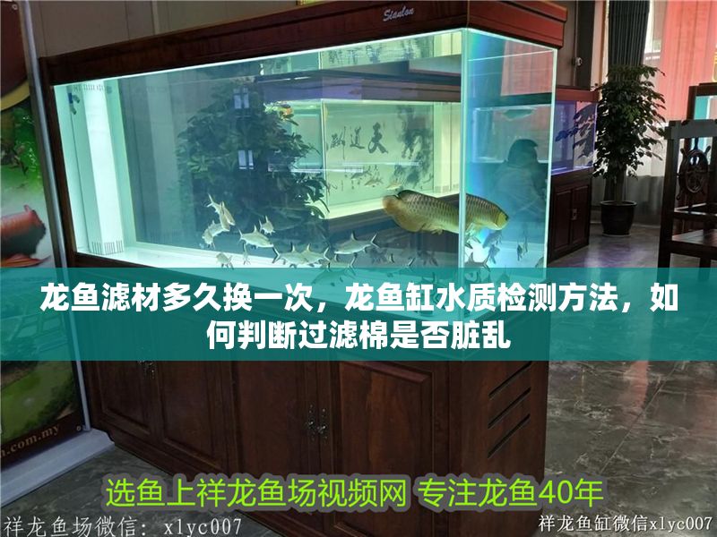 龍魚濾材多久換一次，龍魚缸水質(zhì)檢測(cè)方法，如何判斷過濾棉是否臟亂