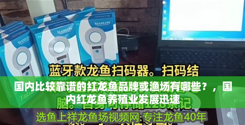 國內比較靠譜的紅龍魚品牌或漁場有哪些？，國內紅龍魚養殖業發展迅速 國內比較靠譜的紅龍魚品牌或漁場有哪些？，國內紅龍魚養殖業發展迅速 廣州正大漁場