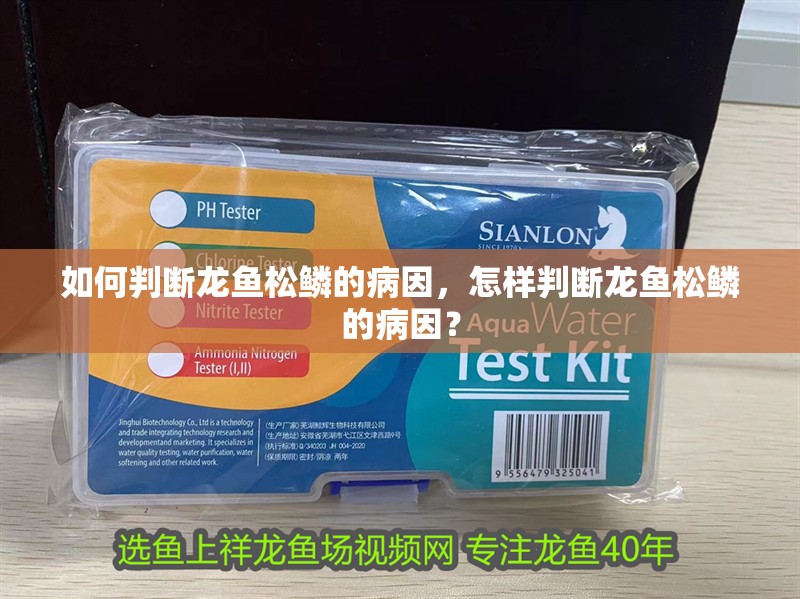 如何判斷龍魚松鱗的病因，怎樣判斷龍魚松鱗的病因？ 如何判斷龍魚松鱗的病因，怎樣判斷龍魚松鱗的病因？ 龍魚百科