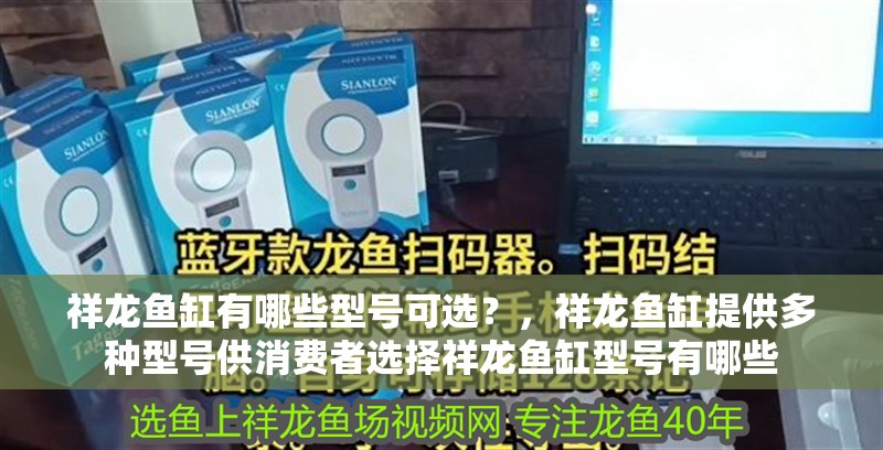 祥龍魚缸有哪些型號可選？，祥龍魚缸提供多種型號供消費者選擇祥龍魚缸型號有哪些 祥龍魚缸有哪些型號可選？，祥龍魚缸提供多種型號供消費者選擇祥龍魚缸型號有哪些 龍魚百科