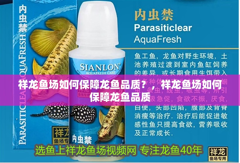 祥龍魚場如何保障龍魚品質？，祥龍魚場如何保障龍魚品質