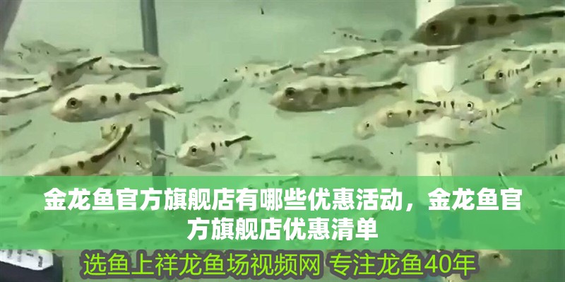 金龍魚官方旗艦店有哪些優惠活動，金龍魚官方旗艦店優惠清單