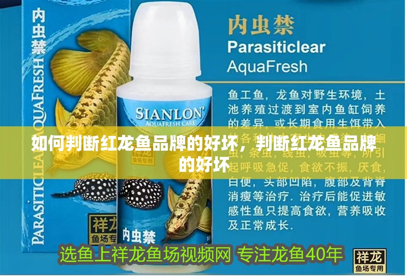 如何判斷紅龍魚品牌的好壞，判斷紅龍魚品牌的好壞 如何判斷紅龍魚品牌的好壞，判斷紅龍魚品牌的好壞 龍魚百科