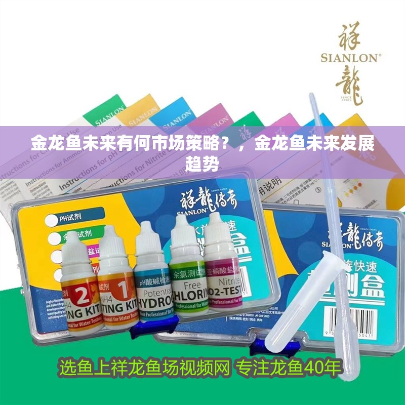 金龍魚未來有何市場策略？，金龍魚未來發展趨勢