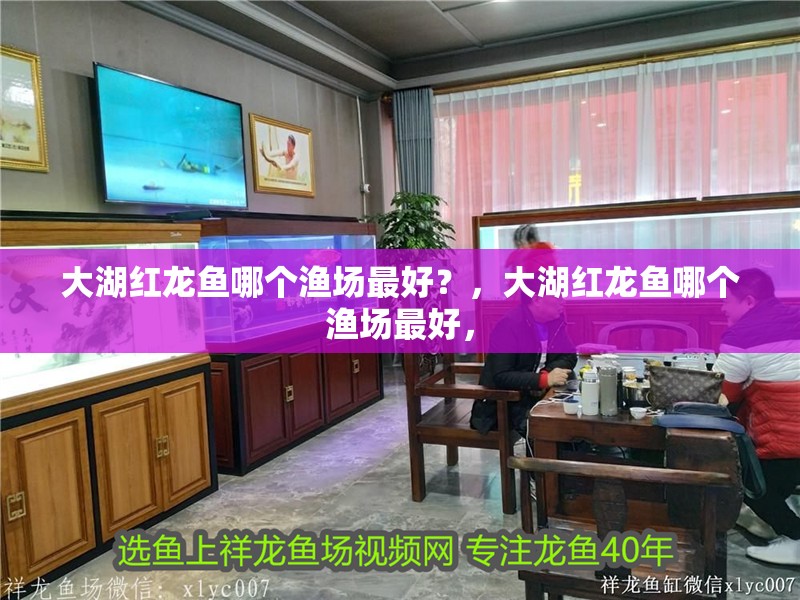 大湖紅龍魚哪個漁場最好？，大湖紅龍魚哪個漁場最好， 大湖紅龍魚哪個漁場最好？，大湖紅龍魚哪個漁場最好， 龍魚百科