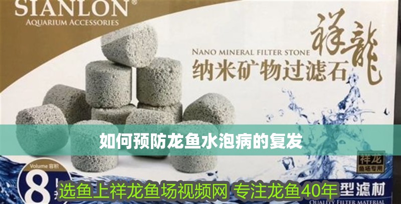 如何預防龍魚水泡病的復發