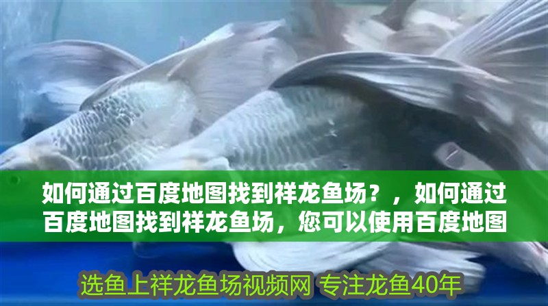 如何通過百度地圖找到祥龍魚場？，如何通過百度地圖找到祥龍魚場，您可以使用百度地圖搜索功能