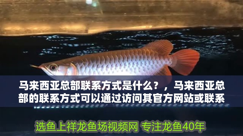 馬來西亞總部聯系方式是什么？，馬來西亞總部的聯系方式可以通過訪問其官方網站或聯系當地的商業聯絡部門來獲取