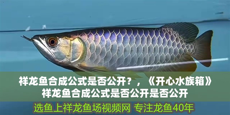 祥龍魚合成公式是否公開？，《開心水族箱》祥龍魚合成公式是否公開是否公開