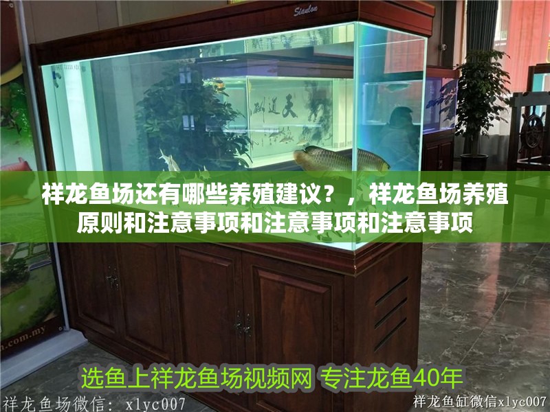 祥龍魚場還有哪些養殖建議？，祥龍魚場養殖原則和注意事項和注意事項和注意事項