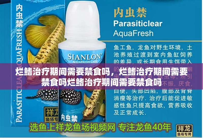 爛鰭治療期間需要禁食嗎，爛鰭治療期間需要禁食嗎爛鰭治療期間需要禁食嗎 爛鰭治療期間需要禁食嗎，爛鰭治療期間需要禁食嗎爛鰭治療期間需要禁食嗎 龍魚百科