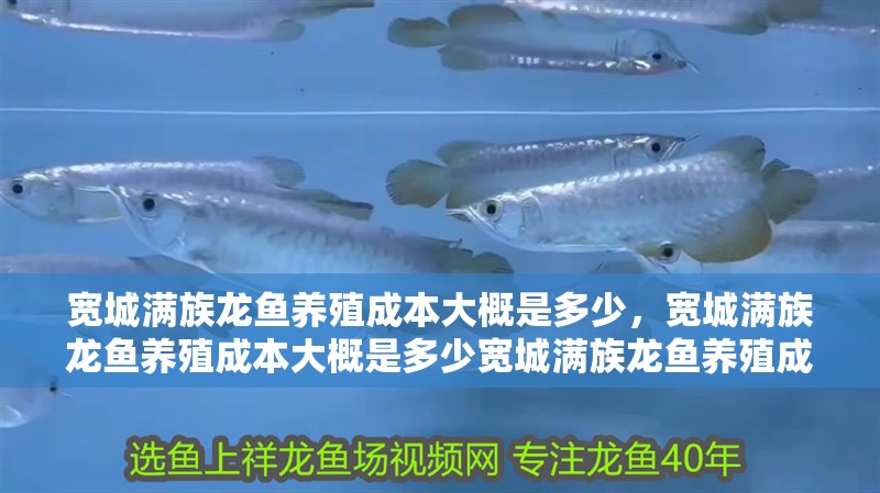 魚缸用增氧泵價格是多少:魚缸增氧機-xtrac增氧機-xtrac增氧機 寬城滿族龍魚養殖成本大概是多少,寬城滿族龍魚養殖成本大概是多少寬城滿族龍魚養殖成本大概是多少 龍魚百科 寬城滿族龍魚養殖成本大概是多少,寬城滿族龍魚養殖成本大概是多少寬城滿族龍魚養殖成本大概是多少 寬城滿族龍魚養殖成本大概是多少,寬城滿族龍魚養殖成本大概是多少寬城滿族龍魚養殖成本大概是多少 龍魚百科